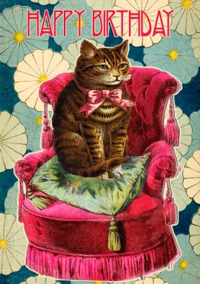 Happy birthday cat card