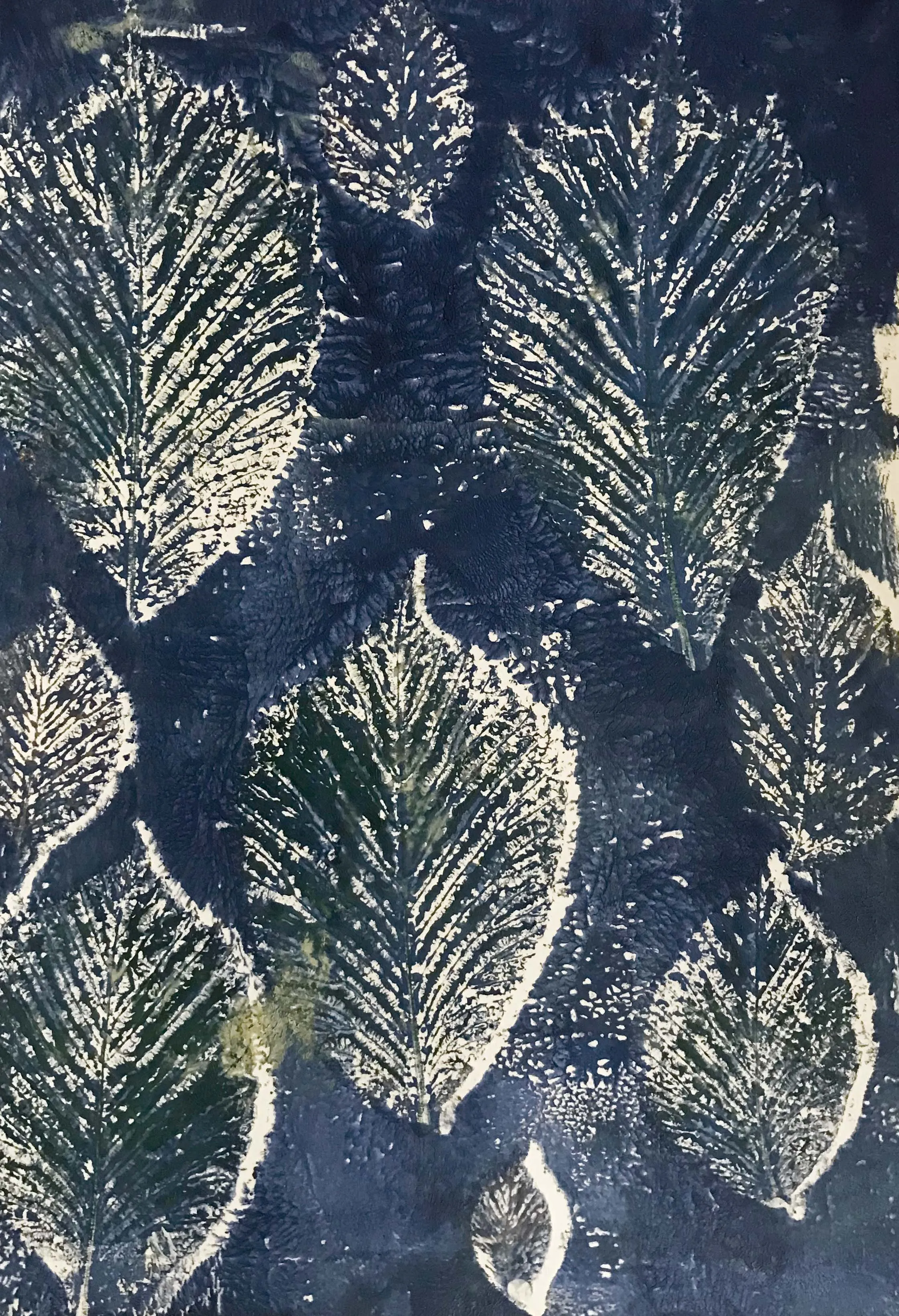 Leaves 2 Art Print (from  Original Botanical Monoprint)